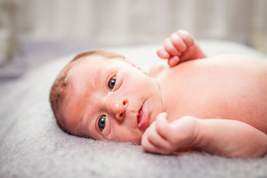 eugene-family-photos-005 Liam | Newborn Portraits | Eugene Oregon