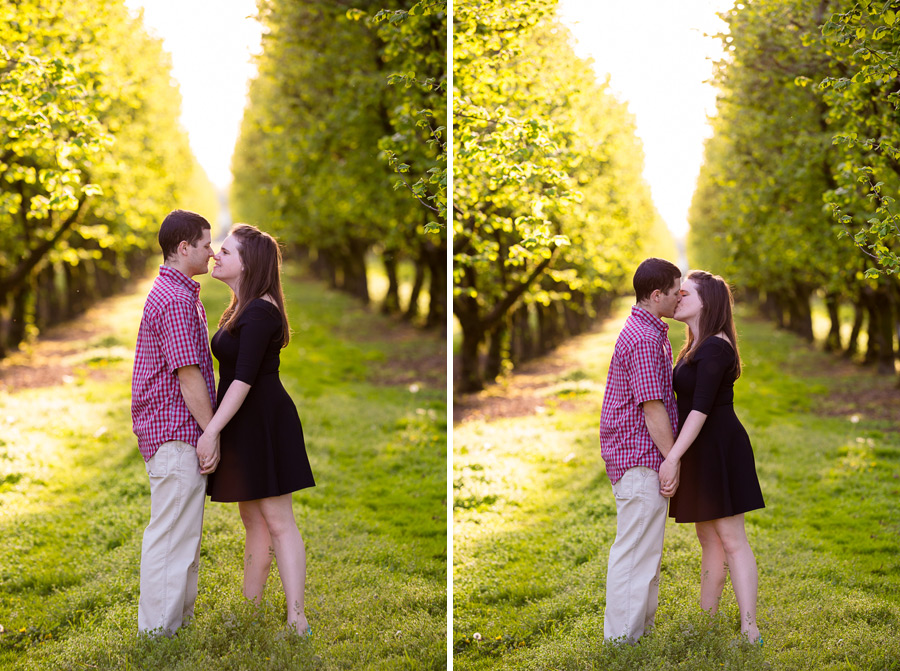 engagement-dorris-pics-016 Sarah & Norman | Engagement Pictures | Springfield Oregon | Dorris Ranch