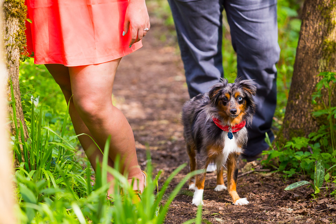 oregon-engaged-pics-002 Oregon Engagement Pictures | Dorris Ranch | Merissa & Jake