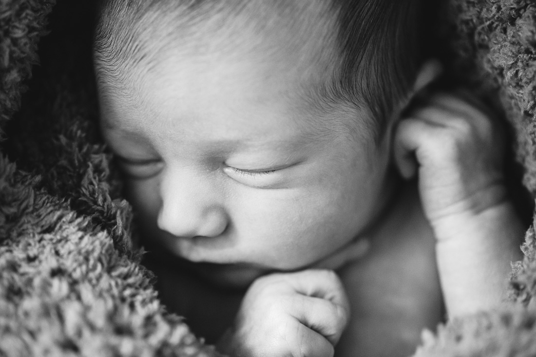 eugene-newborn-001 Newborn | Evie | Springfield Oregon Photographer
