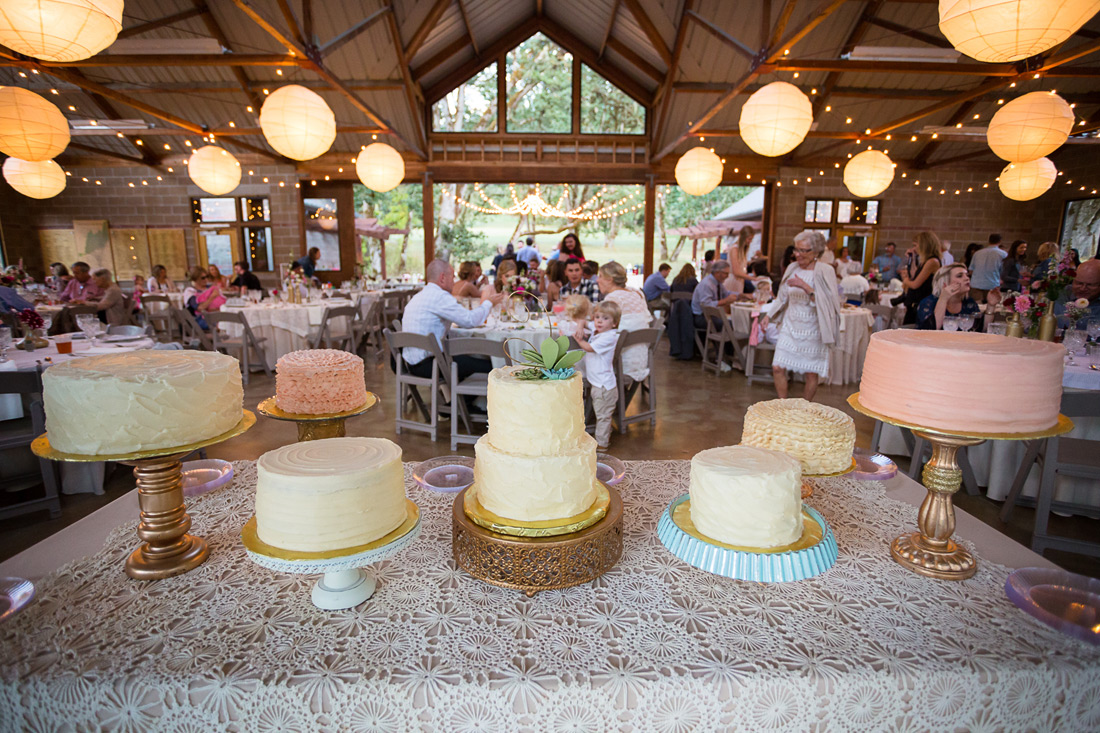 mt-pisgah-wedding-069 Mount Pisgah Wedding | Caitlin & Michael | With Rachael Kruse Photography