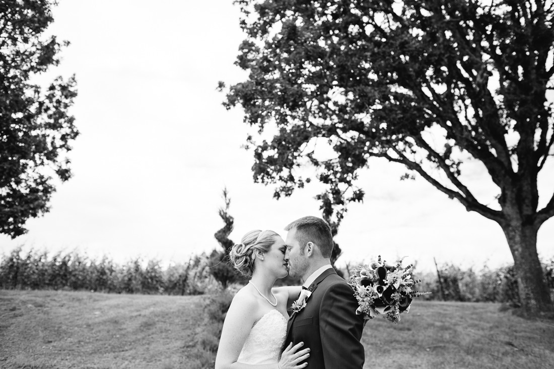 zenith-vineyard-023 Zenith Vineyard Wedding | Oregon Photographer | Kayla & Cody