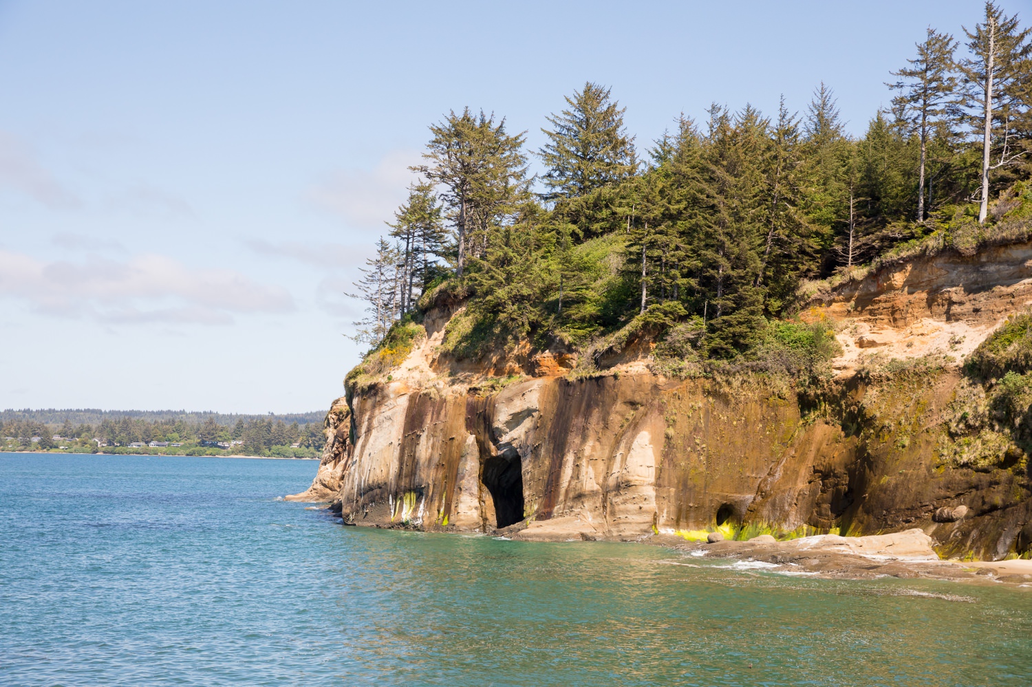 shore-acres-engagement-photos-012 Shore Acres Engagement Photos | Adventure Session Coos Bay | Shaminy & Jason